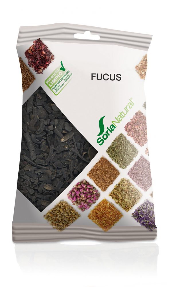 FUCUS BOLSA