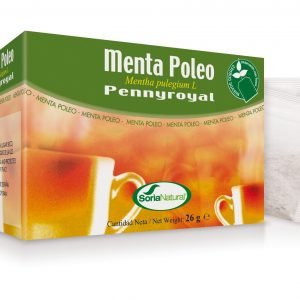 MENTA POLEO INFUSIÓN