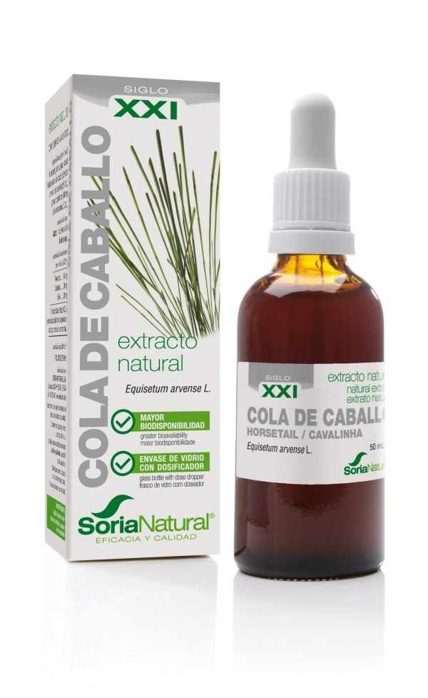 COLA DE CABALLO EXTRACTO S.XXI