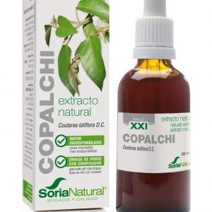 COPALCHI EXTRACTO S.XXI