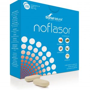 Noflasor