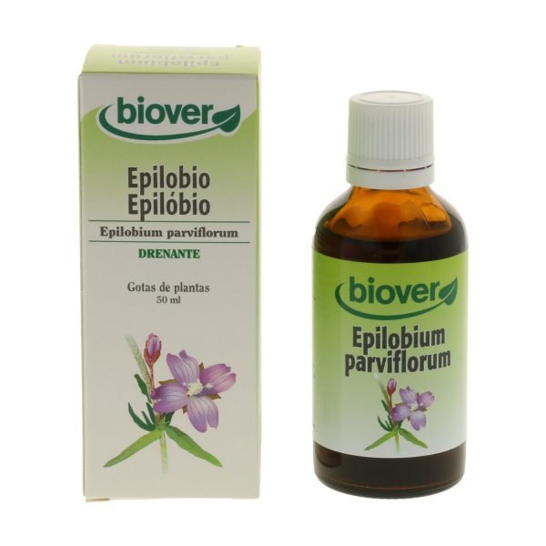 Epilobium parviflorum (epilobio)