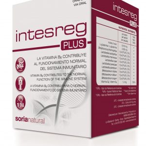 INTESREG PLUS