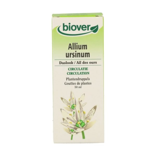 Allium Ursinum (Ajo Silvestre) Bio - Imagen 3