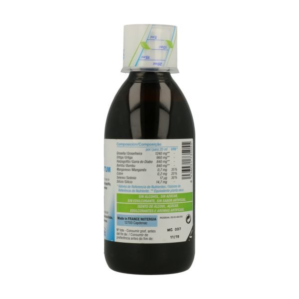 Ergyphytum - Imagen 3