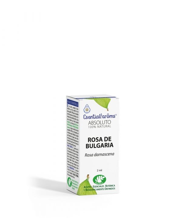 Rosa Damascena