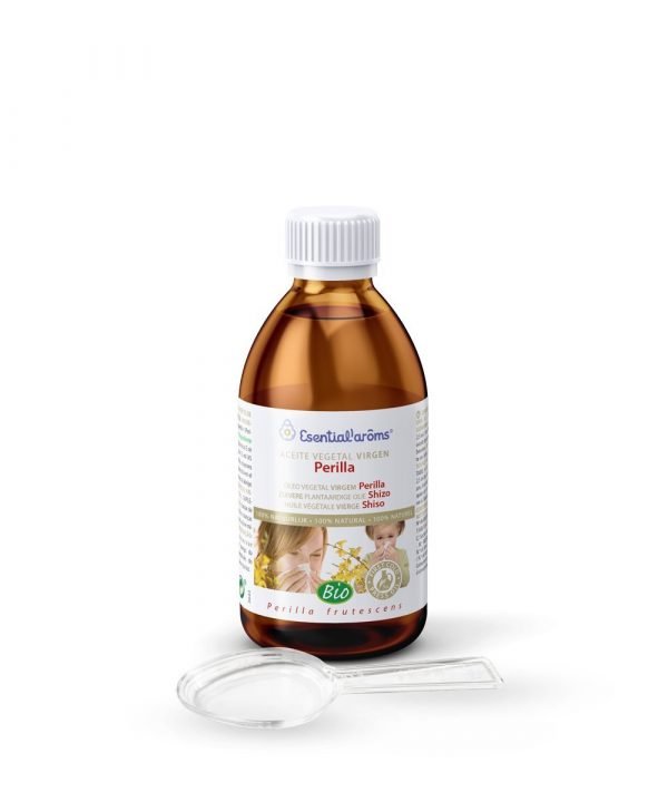 Perilla frutescens - Imagen 2