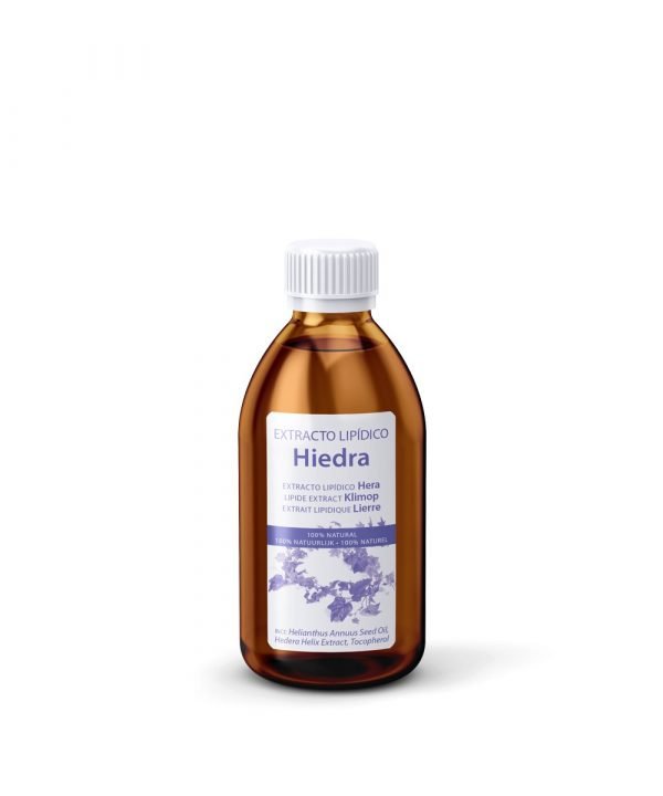 Hedera helix - Imagen 2