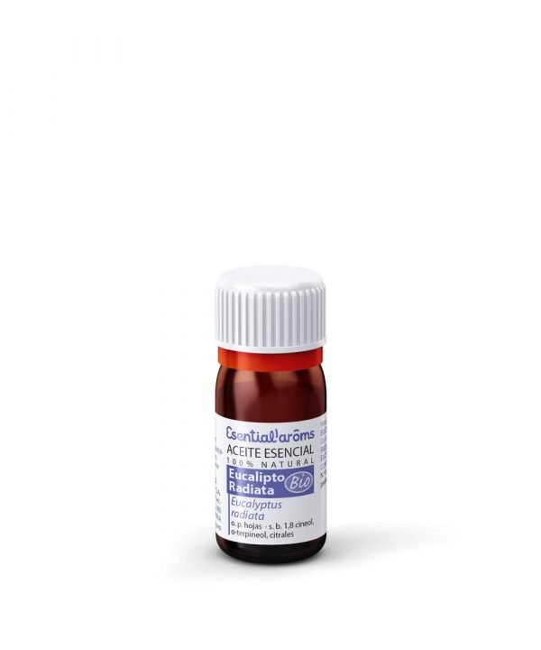 Eucalipto Radiata - BIO - Imagen 2
