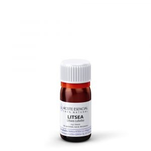 Litsea