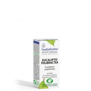 Eucalipto Polibractea