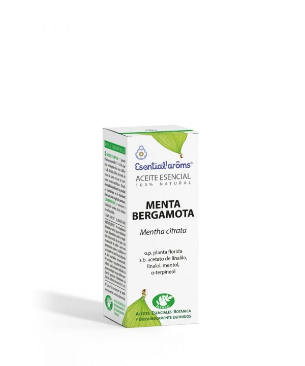 Menta bergamota