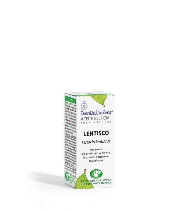 Lentisco