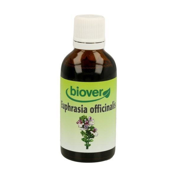 Euphrasia Officinalis - Imagen 3