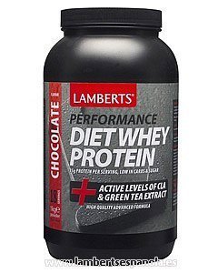 Whey Protein de Dieta.Sabor Chocolate 1000 g – 1000 g