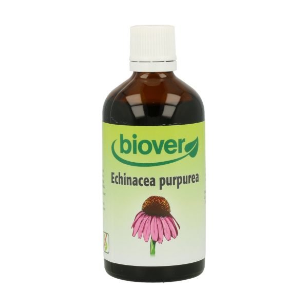 Echinacea Purpurea (Equinacea)