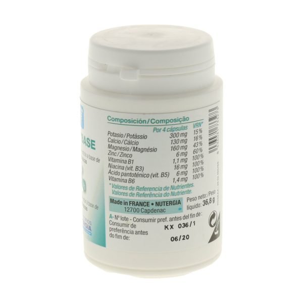 Ergybase - Imagen 2