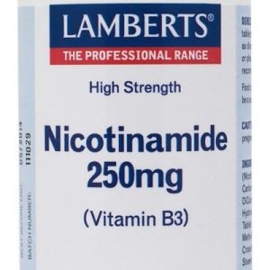 Niacina como Nicotinamida o Vitamina B3 250 mg – 100