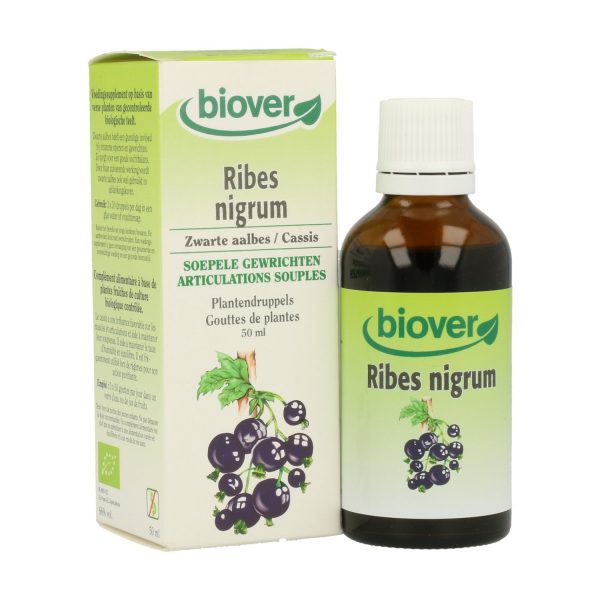 Ribes Nigrum (Grosellero Negro)