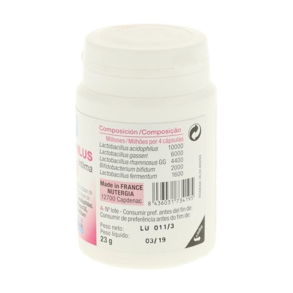 Ergyphilus Intima - Imagen 2