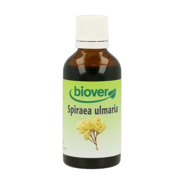 Spiraea Ulmaria (Reina de Los Prados)
