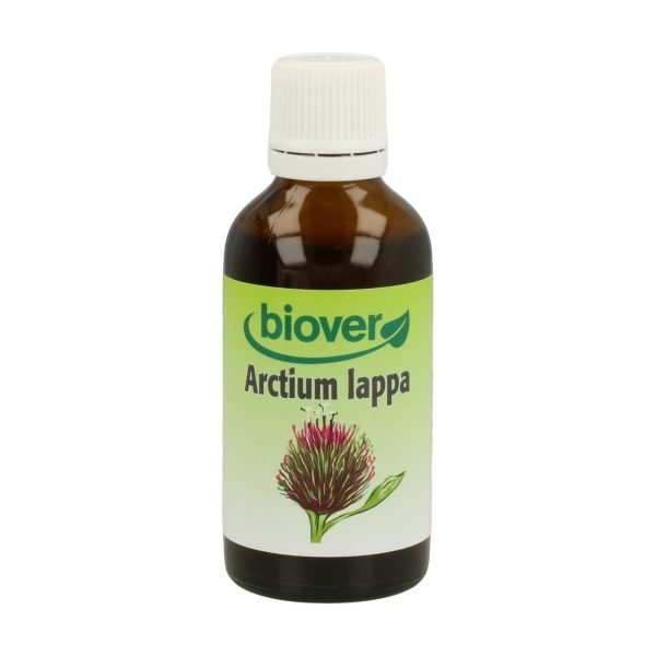 Arctium Lappa (Bardana) Bio - Imagen 3