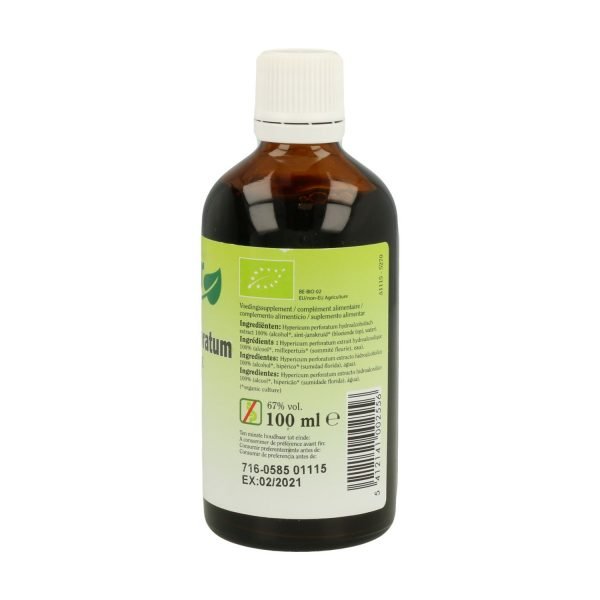 Hypericum Perforatum - Imagen 2