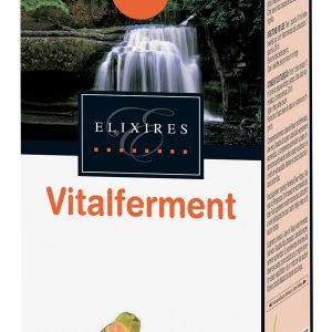 VITALFERMENT