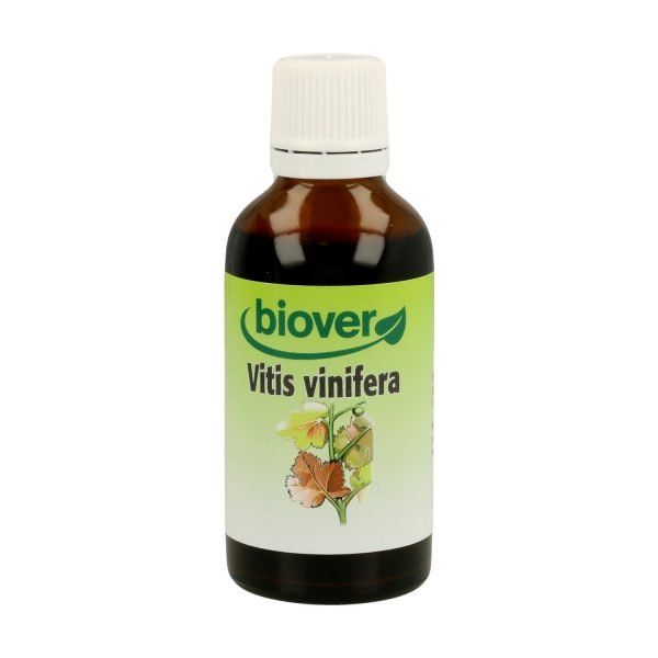 Vid Roja (Vitis Vinifera) - Imagen 3