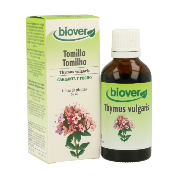 Thymus Vulgaris Tomillo - Imagen 2