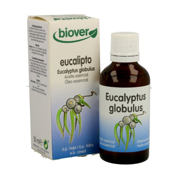 Aceite Esencial Eucalyptus Globulus Bio - Imagen 2