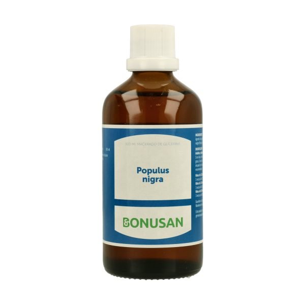 Populus Nigra - Imagen 2