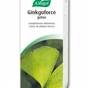 Ginkgoforce (100 Ml)