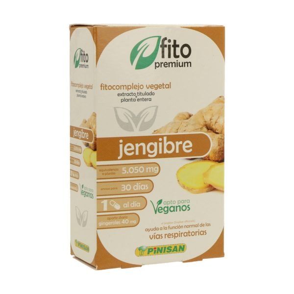 Fito Premium Jengibre - Imagen 2