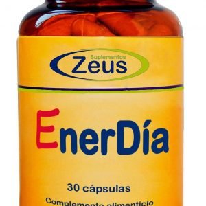 ENERDIA – ZEUS