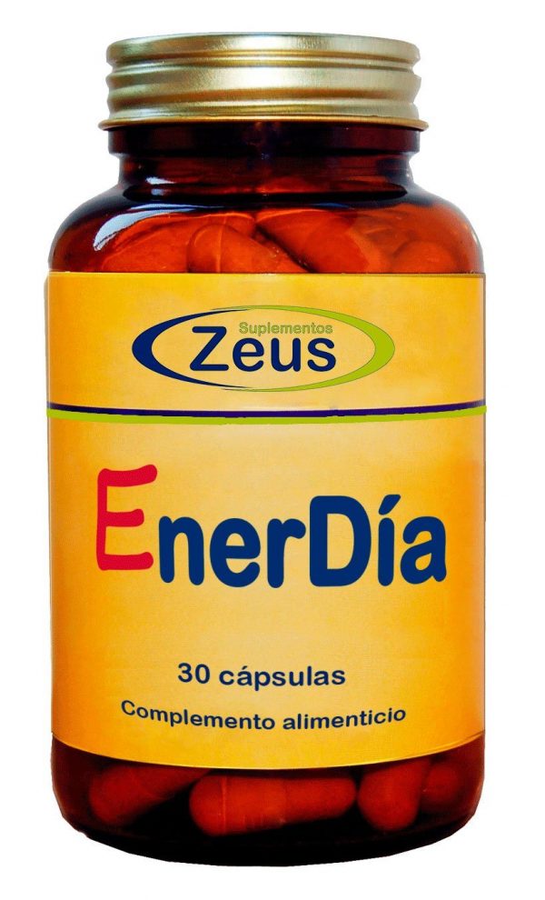 ENERDIA - ZEUS