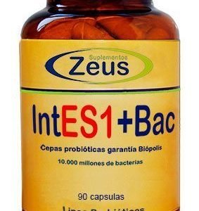 INTES1+ BAC – ZEUS