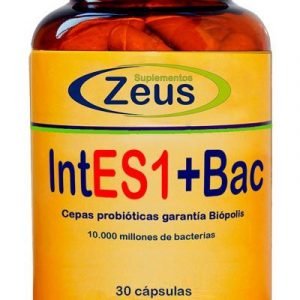 INTES1+BAC – ZEUS