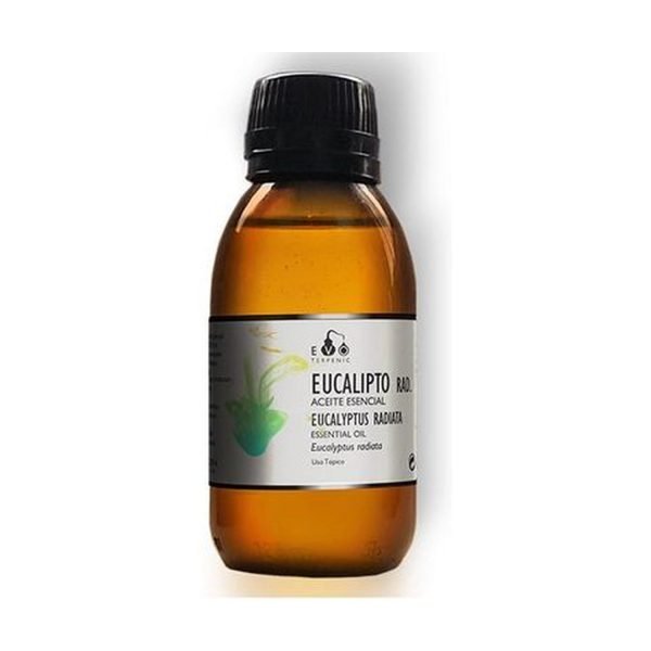 Eucalipto Radiata Aceite Esencial