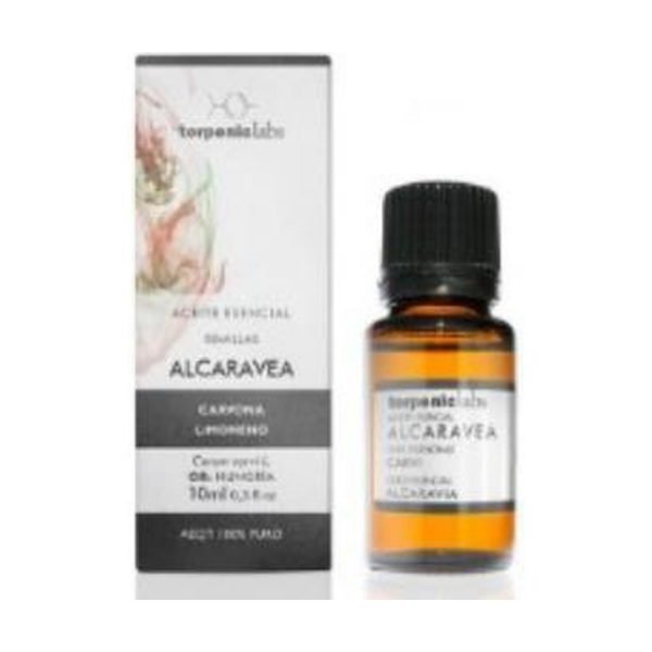 Carvi Alcaravea Aceite Esencial Alimentario
